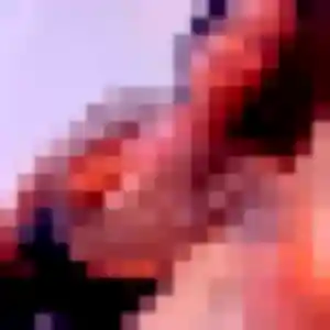 beurette à Bénaménil : photo de Amira, 26 ans - sans engagement