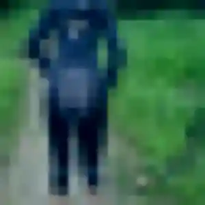 Photo de Dina à Benoîtville (34 ans) - beurette discret