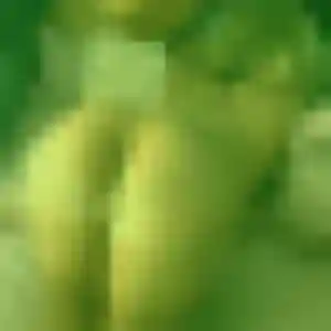 Photo de Houda à Bessay-sur-Allier (35 ans) - beurette anonyme