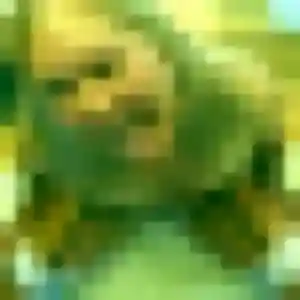 Photo exclusive de Leila, 33 ans à Bessières - plan discret