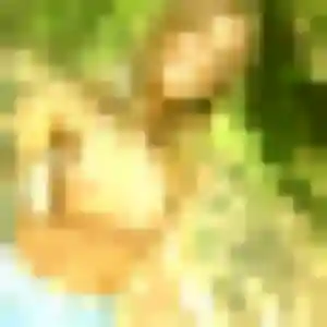 Photo exclusive de Dounia, 23 ans à Beugnon-Thireuil - rencontre coquine