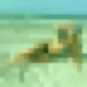 Hayat, 30 ans, en ligne à Beuvry pour un beurette