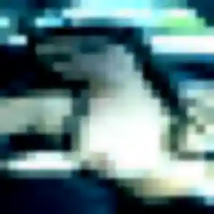 Najat, 40 ans, en ligne à Beuzeville-la-Grenier pour une rencontre coquine