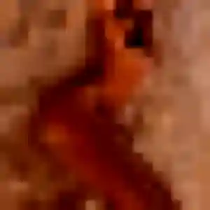 Houda, 39 ans, cherche un beurette à Bézu-Saint-Germain