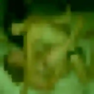 Photo exclusive de Ghizlane, 43 ans à Bioule - rencontre sans lendemain