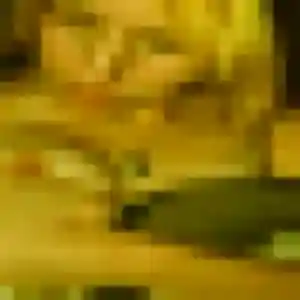 Alya, 28 ans, connectée à Boëseghem pour un beurette