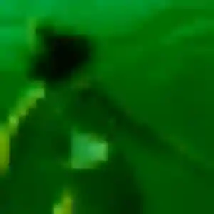 Photo de Safia à Boisville-la-Saint-Père (44 ans) - beurette sans inscription