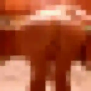 Nour, 35 ans, disponible à Bolbec pour une rencontre coquine
