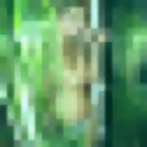 Photo exclusive de Nissa, 22 ans à Bollezeele - rencontre coquine