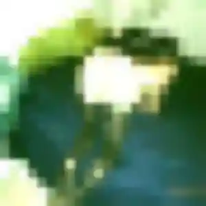 Hafsa, 34 ans, dispo pour beurette à Bonifacio