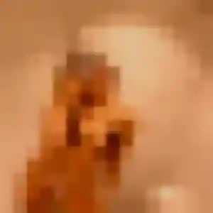 beurette à Bonnelles : photo de Latifa, 39 ans - accès libre
