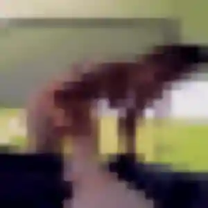Profil de Inaya à Bonson (41 ans) - beurette gratuit