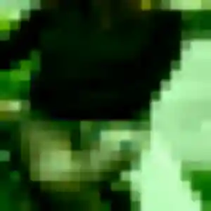 Rokia, 34 ans, en ligne à Bordes pour un beurette