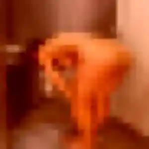 Profil de Nour à Bossay-sur-Claise (28 ans) - beurette gratuit
