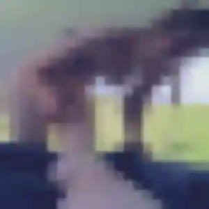 beurette à Bosville : photo de Wahiba, 35 ans - accès libre