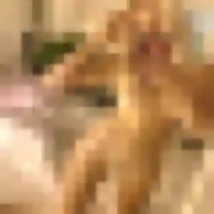 Jolie Nadia, 28 ans à Bouère - voir sa photo