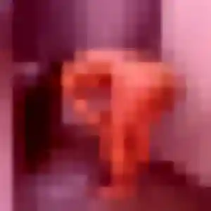Samira (44 ans) à Bouessay cherche une rencontre rapidement