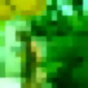 Hafsa, fille de 44 ans cherche beurette à Bouillac