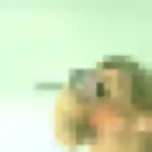 Photo sexy de Houda, 25 ans à Boulon - plan discret