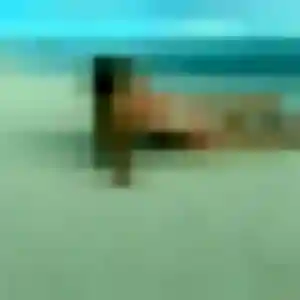 Photo de Zahra à Boult-sur-Suippe (30 ans) - beurette sans inscription