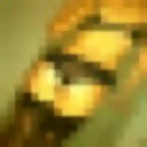 Photo privée de Naima, 36 ans à Bourg-Saint-Andéol - plan discret