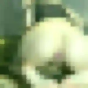Nawal, 44 ans, dispo pour beurette à Bourghelles