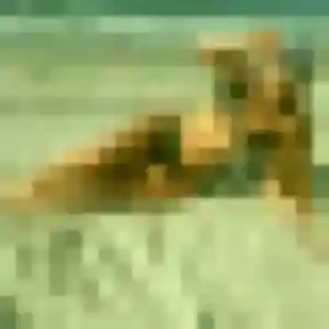 Zahra, 31 ans, dispo pour beurette à Bourgs sur Colagne