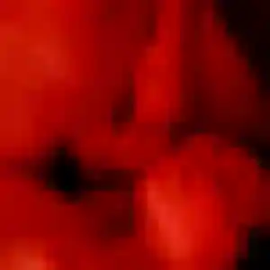 Photo de Alya à Bournezeau (30 ans) - beurette gratuit