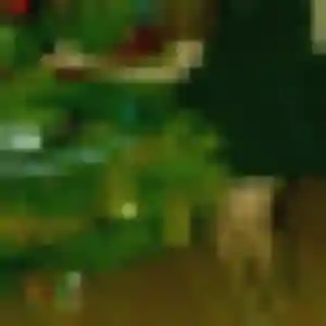 Sexy Fatima, 36 ans à Bourret - voir sa photo