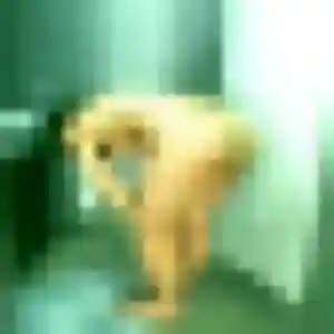 Photo exclusive de Lina, 28 ans à Branges - rencontre coquine