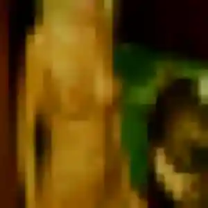 beurette à Branges : photo de Melissa, 42 ans - accès libre