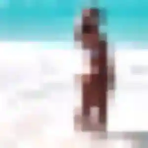 Sexy Zineb, 28 ans à Bréhémont - découvrir son profil