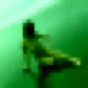 Profil de Kamila à Breil-sur-Roya (24 ans) - beurette anonyme
