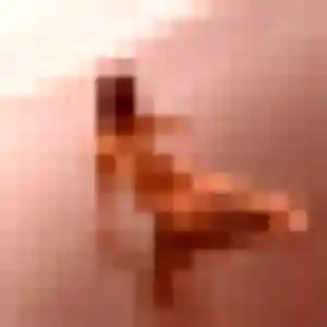 beurette à Breilly : photo de Ouarda, 41 ans - accès libre