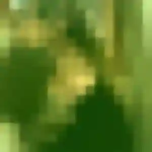 Hind, femme de 44 ans propose beurette à Brielles