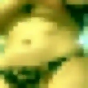 beurette à Briollay : photo de Melissa, 36 ans - accès libre