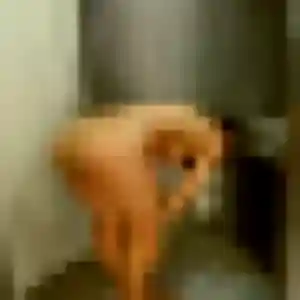 Melissa, 29 ans, en ligne à Brion pour une rencontre coquine