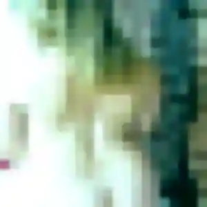 Photo de Amira à Brix (35 ans) - beurette gratuit