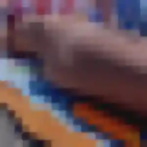 Kawtar (32 ans) à Brosville cherche une rencontre aujourd'hui