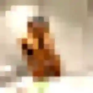 beurette à Bruguières : photo de Rym, 32 ans - accès libre