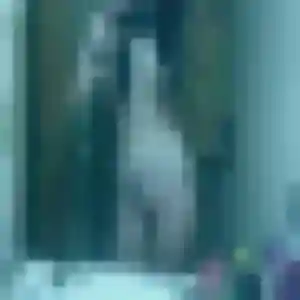 Profil de Melissa à Caissargues (42 ans) - beurette gratuit