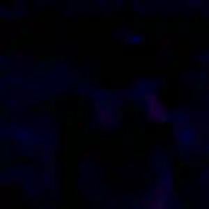 Assia, 31 ans, dispo pour beurette à Capvern