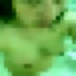 Photo de Lyna à Caraman (44 ans) - beurette gratuit
