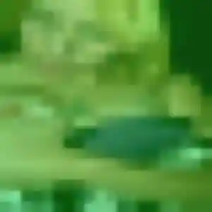 beurette à Carolles : photo de Nassima, 28 ans - accès libre