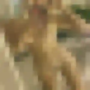 Zara, 38 ans, disponible à Caromb pour un beurette