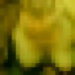 Profil de Rajae à Carrières-sur-Seine (24 ans) - beurette discret