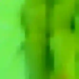 Photo privée de Ilham, 44 ans à Carsac-Aillac - rencontre coquine