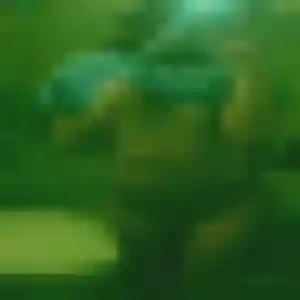 Découvre Fatou, 30 ans à Caudiès-de-Fenouillèdes en privé