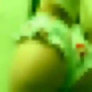 Mina, 34 ans, dispo pour beurette à Cauro