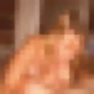 Photo de Rim à Cauville-sur-Mer (36 ans) - beurette anonyme